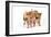 Pig 1 Week Old Kune Kune Piglets-null-Framed Photographic Print