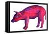 Pig, 1996-Jane Tattersfield-Framed Stretched Canvas