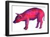 Pig, 1996-Jane Tattersfield-Framed Giclee Print