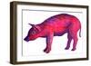 Pig, 1996-Jane Tattersfield-Framed Premium Giclee Print