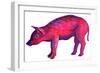 Pig, 1996-Jane Tattersfield-Framed Premium Giclee Print