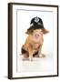 Pig 2 Week Old Oxford Sandy and Black Piglet-null-Framed Photographic Print