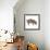 Pig Abstract Circles-Ron Magnes-Framed Giclee Print displayed on a wall