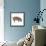 Pig Abstract Circles-Ron Magnes-Framed Giclee Print displayed on a wall