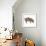 Pig Abstract Circles-Ron Magnes-Framed Giclee Print displayed on a wall