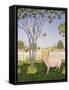 Pig and Cat-Ditz-Framed Stretched Canvas