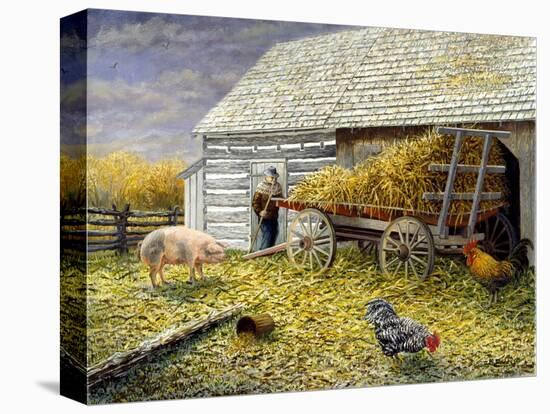 Pig and Chickens-Kevin Dodds-Stretched Canvas
