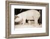Pig and Five Piglets-Theo Westenberger-Framed Photographic Print