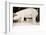 Pig and Five Piglets-Theo Westenberger-Framed Photographic Print