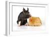 Pig Berkshire Piglet with Chicken-null-Framed Photographic Print