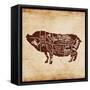 Pig Cut-OnRei-Framed Stretched Canvas