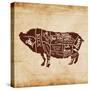 Pig Cut-OnRei-Stretched Canvas