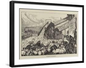 Pig-Driving in Cincinnati-Arthur Boyd Houghton-Framed Giclee Print