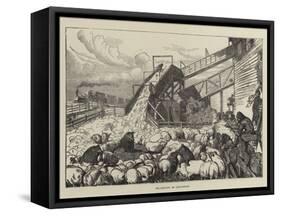 Pig-Driving in Cincinnati-Arthur Boyd Houghton-Framed Stretched Canvas