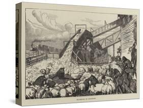 Pig-Driving in Cincinnati-Arthur Boyd Houghton-Stretched Canvas