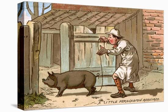 Pig Farmer Persuading a Pig to Move-null-Stretched Canvas