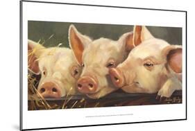 Pig Heaven-Carolyne Hawley-Mounted Art Print