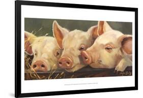 Pig Heaven-Carolyne Hawley-Framed Art Print