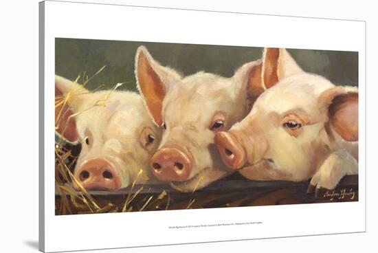 Pig Heaven-Carolyne Hawley-Stretched Canvas