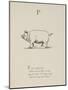 Pig Illustrations and Verse From Nonsense Alphabets by Edward Lear.-Edward Lear-Mounted Premium Giclee Print