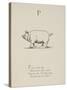 Pig Illustrations and Verse From Nonsense Alphabets by Edward Lear.-Edward Lear-Stretched Canvas