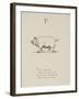 Pig Illustrations and Verse From Nonsense Alphabets by Edward Lear.-Edward Lear-Framed Giclee Print
