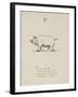 Pig Illustrations and Verse From Nonsense Alphabets by Edward Lear.-Edward Lear-Framed Giclee Print