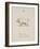 Pig Illustrations and Verse From Nonsense Alphabets by Edward Lear.-Edward Lear-Framed Giclee Print