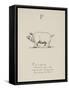 Pig Illustrations and Verse From Nonsense Alphabets by Edward Lear.-Edward Lear-Framed Stretched Canvas