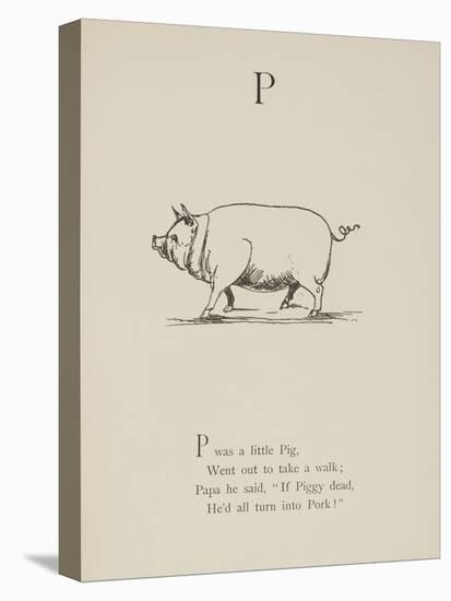 Pig Illustrations and Verse From Nonsense Alphabets by Edward Lear.-Edward Lear-Stretched Canvas