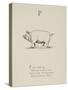 Pig Illustrations and Verse From Nonsense Alphabets by Edward Lear.-Edward Lear-Stretched Canvas