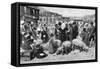 Pig Market, Pyrenees-null-Framed Stretched Canvas