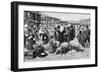 Pig Market, Pyrenees-null-Framed Photographic Print