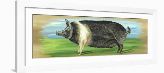 Pig on a box-Gigi Begin-Framed Giclee Print