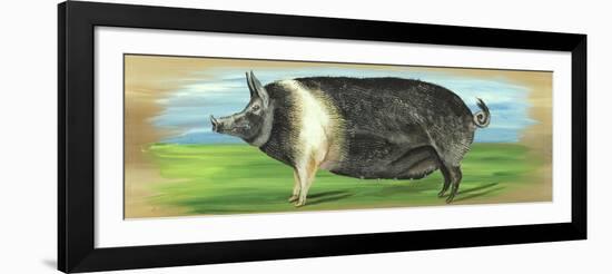 Pig on a box-Gigi Begin-Framed Giclee Print