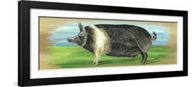 Pig on a box-Gigi Begin-Framed Giclee Print