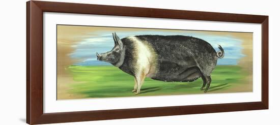 Pig on a box-Gigi Begin-Framed Giclee Print