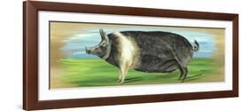 Pig on a box-Gigi Begin-Framed Giclee Print