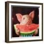 Pig Out-Lucia Heffernan-Framed Art Print