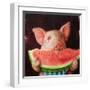 Pig Out-Lucia Heffernan-Framed Art Print