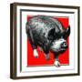 Pig Portrait-C.R. Patterson-Framed Giclee Print