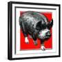 Pig Portrait-C.R. Patterson-Framed Giclee Print