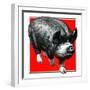 Pig Portrait-C.R. Patterson-Framed Giclee Print