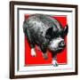 Pig Portrait-C.R. Patterson-Framed Giclee Print