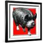 Pig Portrait-C.R. Patterson-Framed Giclee Print