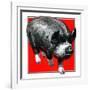 Pig Portrait-C.R. Patterson-Framed Giclee Print