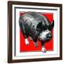 Pig Portrait-C.R. Patterson-Framed Giclee Print