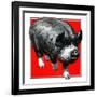 Pig Portrait-C.R. Patterson-Framed Giclee Print