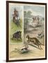 Pig Sticking and Hunting the Kangaroo-null-Framed Giclee Print