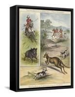 Pig Sticking and Hunting the Kangaroo-null-Framed Stretched Canvas